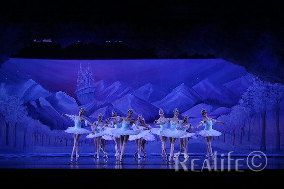 Sno2_4036
