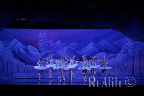 Sno2_4035