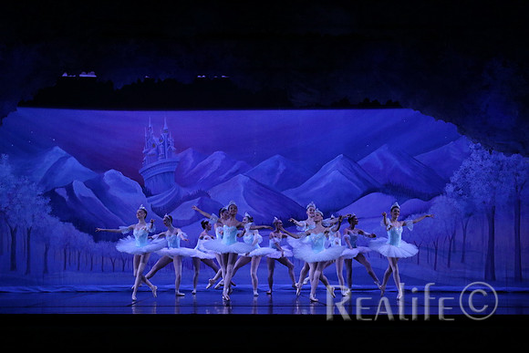 Sno2_4037
