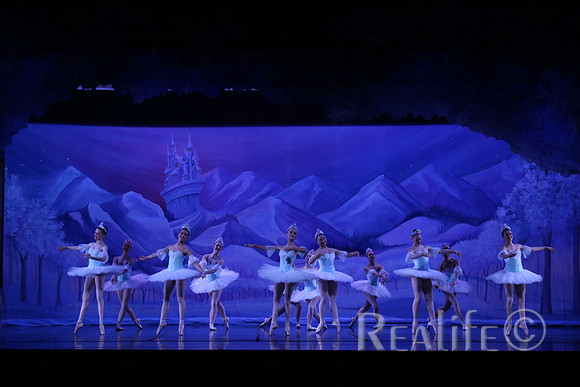 Sno2_4038