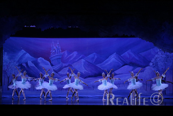 Sno2_4041