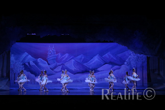 Sno2_4043