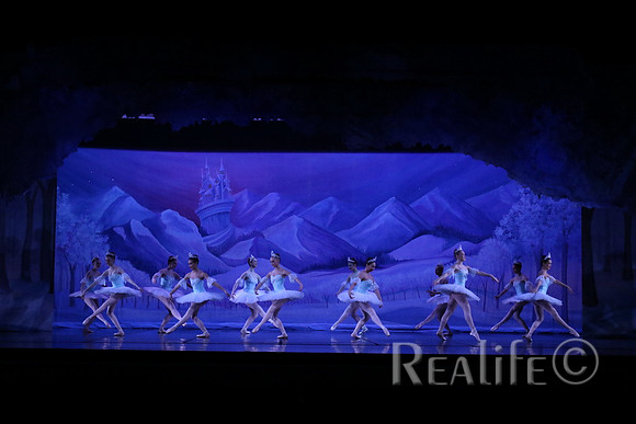 Sno2_4046