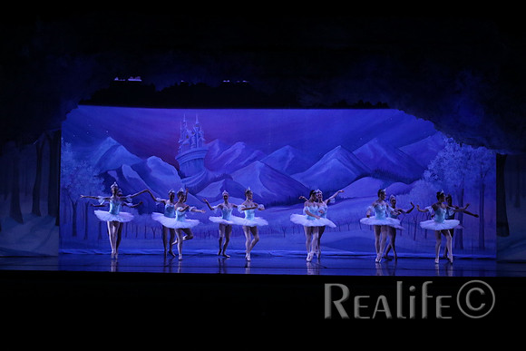 Sno2_4049
