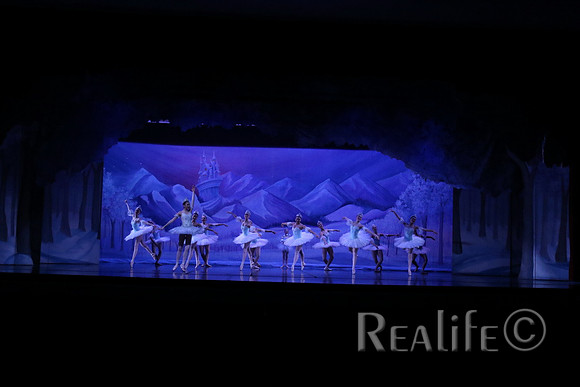 Sno2_4051