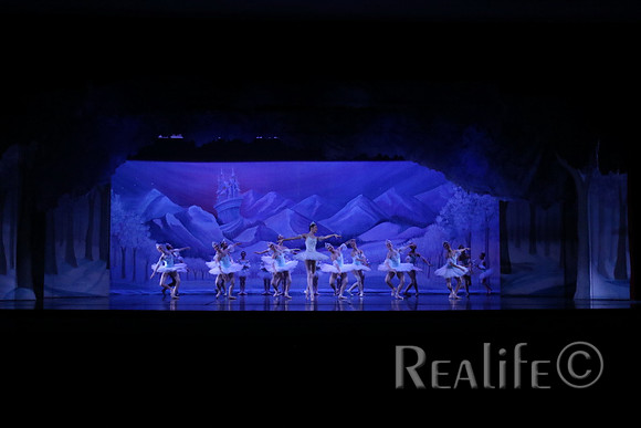 Sno2_4052