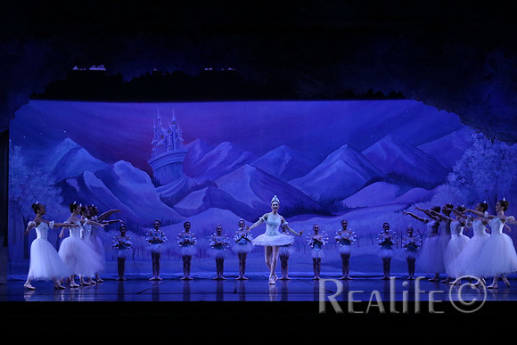 Sno2_4054