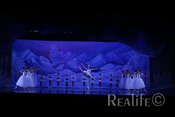 Sno2_4064