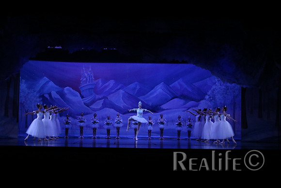 Sno2_4062