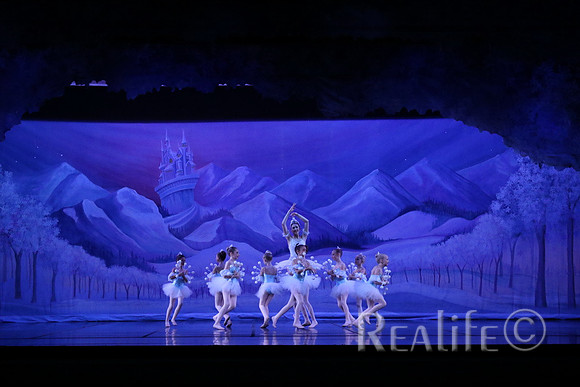 Sno2_4066
