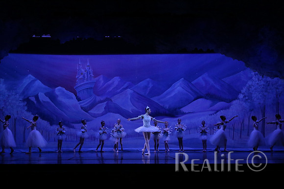 Sno2_4065