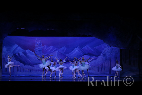 Sno2_4071