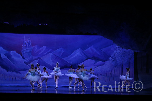 Sno2_4072
