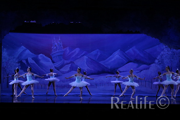 Sno2_4069