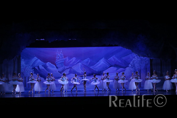 Sno2_4080