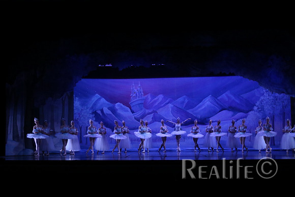 Sno2_4081
