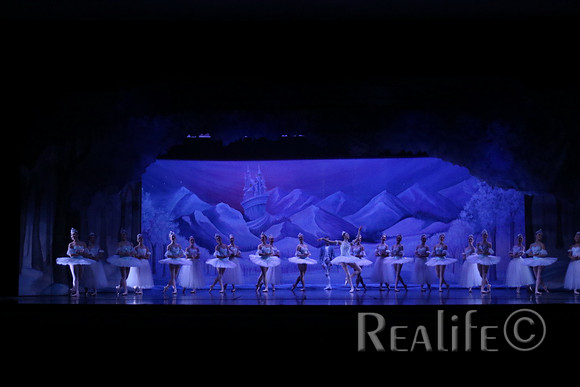 Sno2_4082