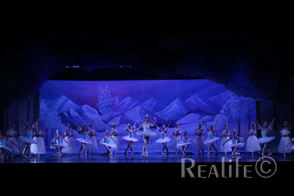 Sno2_4087