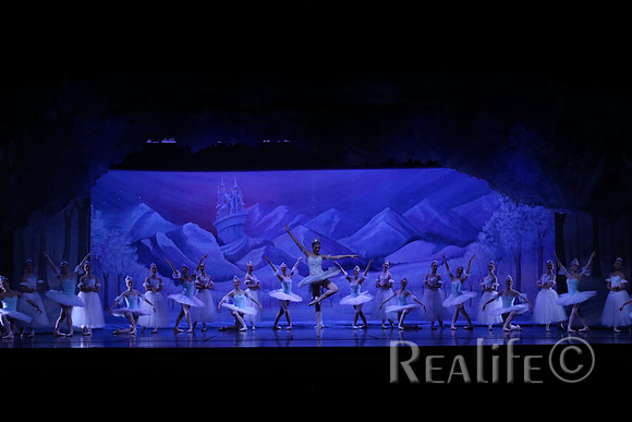 Sno2_4088