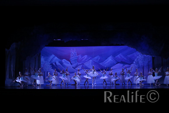 Sno2_4085