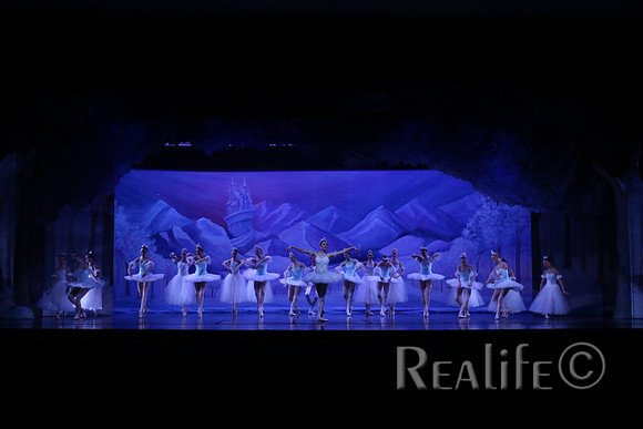 Sno2_4091