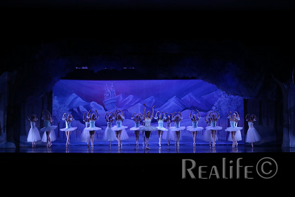 Sno2_4092