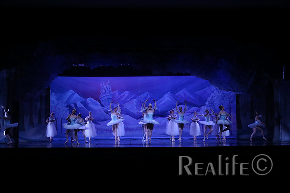 Sno2_4095