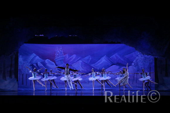 Sno2_4101
