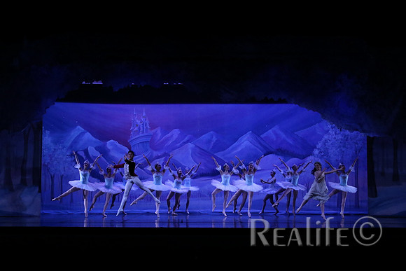Sno2_4102