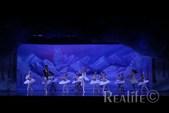 Sno2_4103