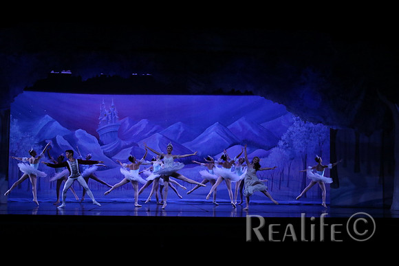 Sno2_4106