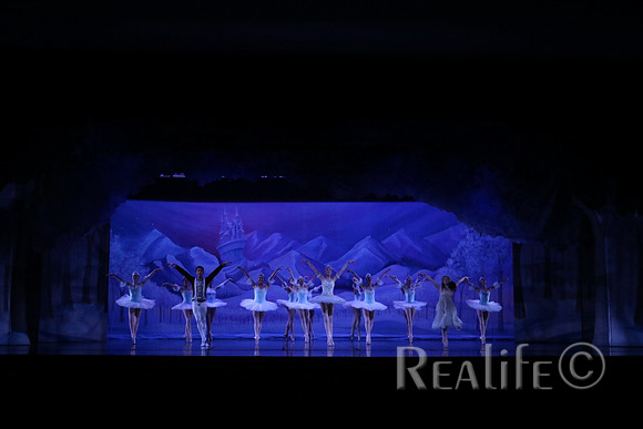 Sno2_4110