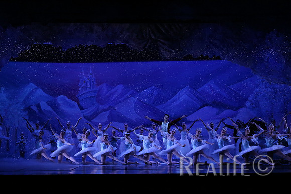 Sno2_4133