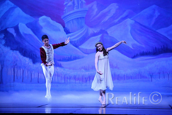 Sno2_4140