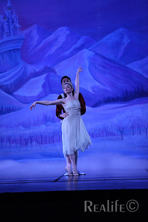 Sno2_4156
