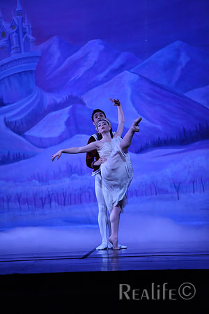 Sno2_4157