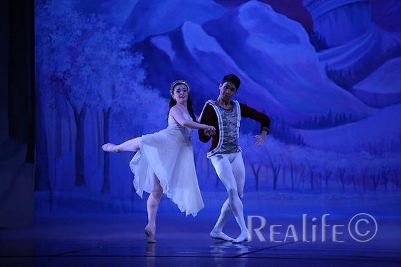 Sno2_4166