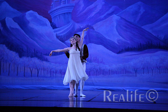 Sno2_4178