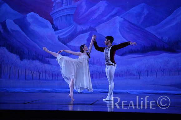 Sno2_4177