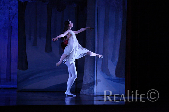 Sno2_4182