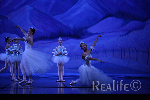 Sno2_4184