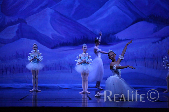 Sno2_4185