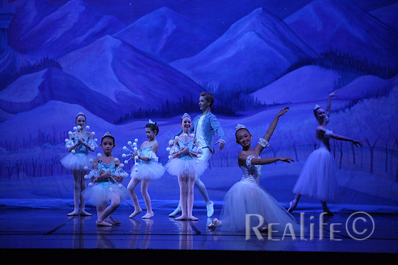Sno2_4188