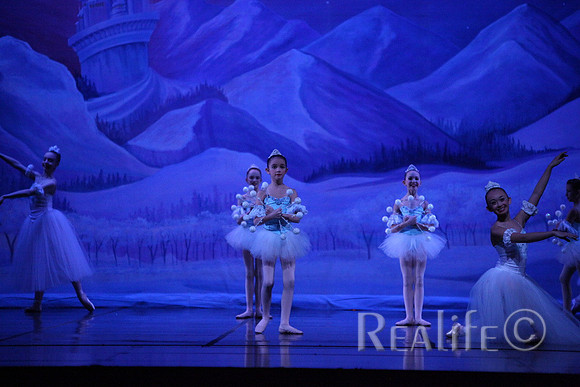 Sno2_4187
