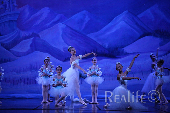 Sno2_4190