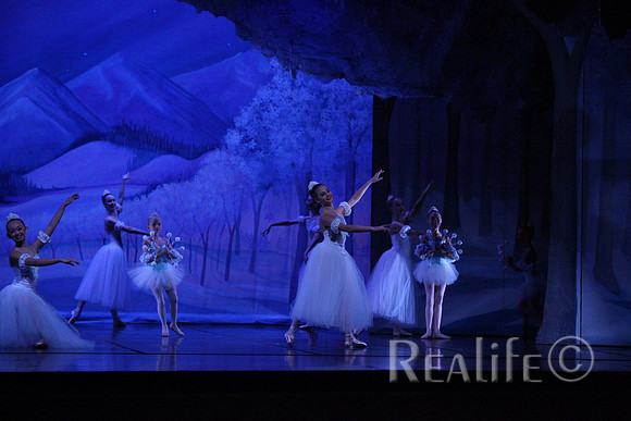Sno2_4192
