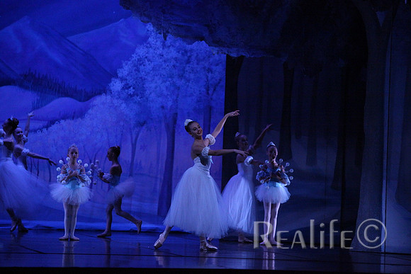 Sno2_4193