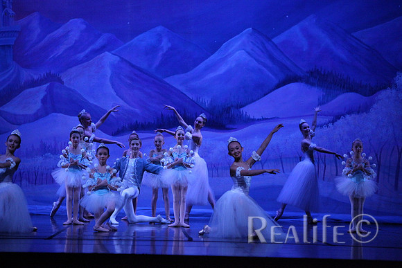 Sno2_4194