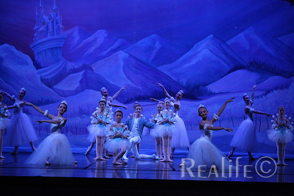 Sno2_4195