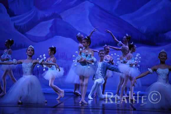 Sno2_4197